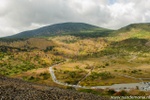 d7k_6758.jpg