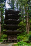 d7k_7400.jpg