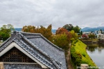 d7k_7476.jpg