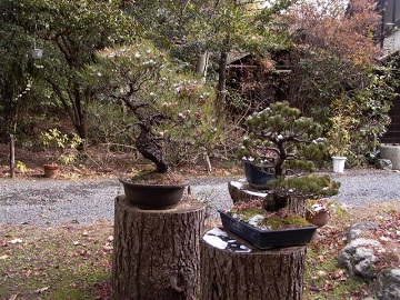 Japan 2005